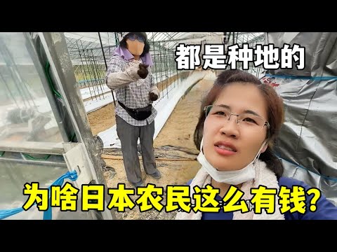 大乐透期号,麒麟八侠五,胆码推荐分,007球探体育首页,即时比分,比分直播,足球比分直播,007球探官网