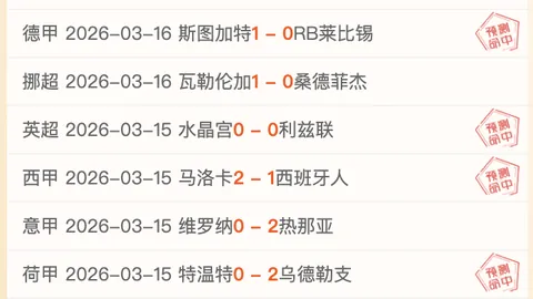 波鸿与不来梅17轮较量1-1平分秋色，精彩瞬间回顾